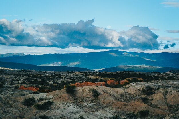 Paisaje de montañas y arbustos.