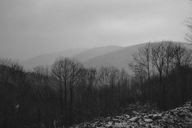 Paisaje de montañas en blanco y negro.