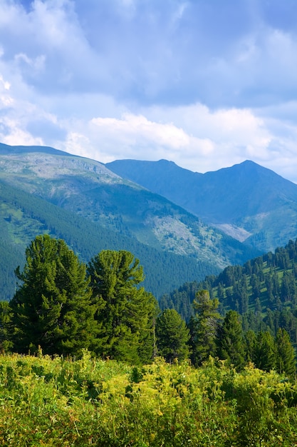 Paisaje de montañas con bosque de cedro