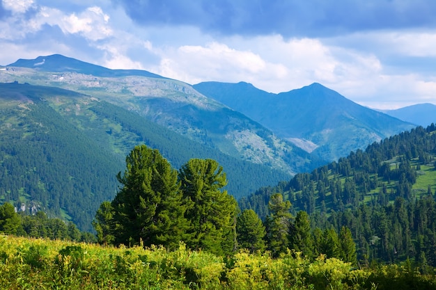 paisaje de montañas con bosque de cedro