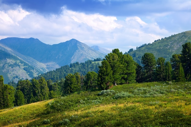 Paisaje con montañas del bosque