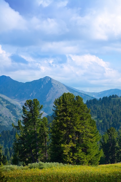 Paisaje con las montañas del bosque