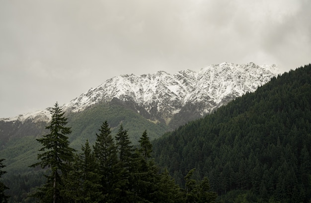 Paisaje de montañas cubiertas de bosques y nieve bajo un cielo nublado