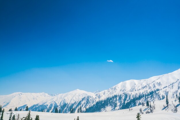 Paisaje de las montañas cubiertas de nieve hermoso estado de Cachemira, la India.