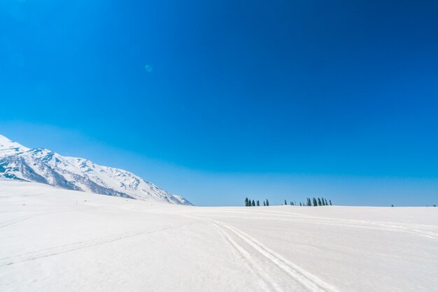 Paisaje de las montañas cubiertas de nieve hermoso estado de Cachemira, la India.