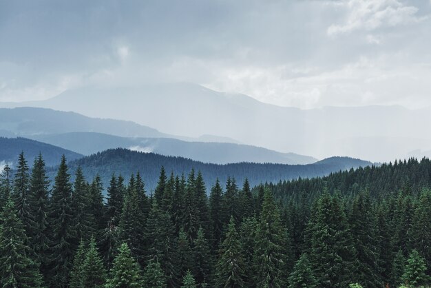 Paisaje de montañas escénicas después de la lluvia. Cárpatos de Ucrania.