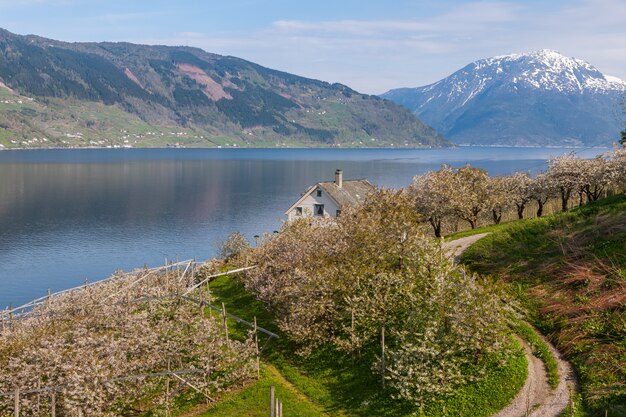 Paisaje con montañas. pueblo en fiordos noruegos