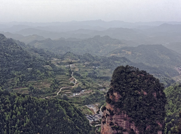 Foto gratuita paisaje de montañas rocosas cubiertas de vegetación y niebla: ideal para fondos de pantalla