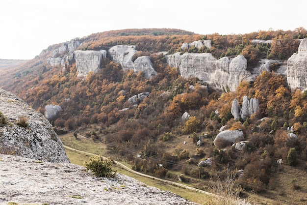 Paisaje de montañas con vegetación verde