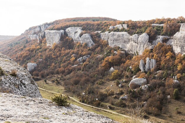 Paisaje de montañas con vegetación verde