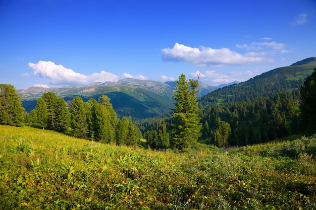 paisaje de montañas