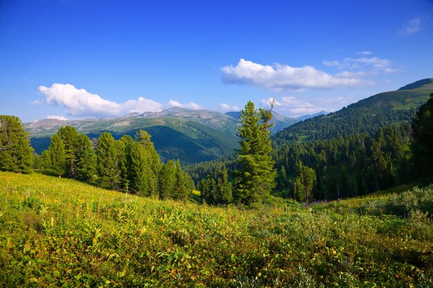 paisaje de montañas