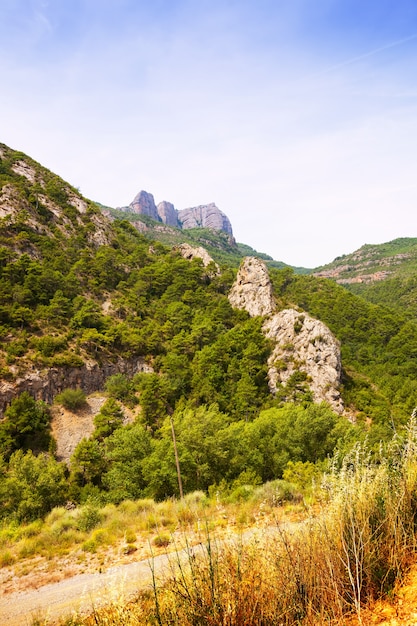 paisaje de montañas