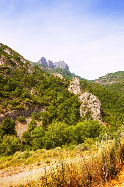 paisaje de montañas