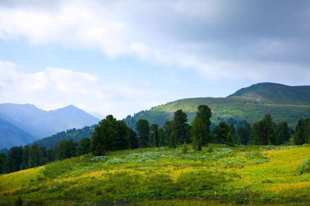 paisaje de montañas