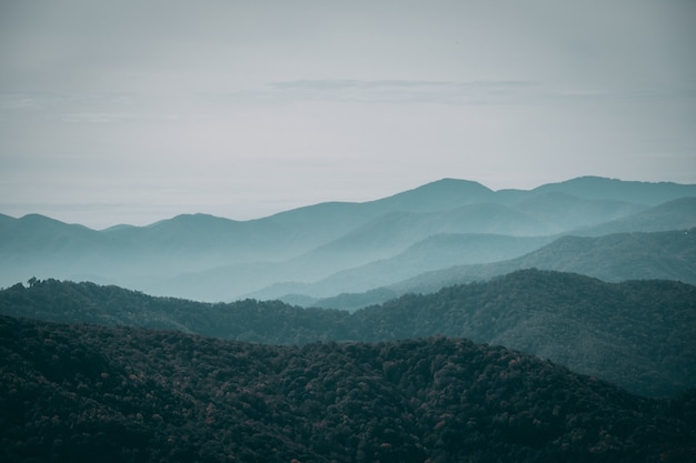 Foto gratuita paisaje montañoso brumoso bajo el cielo sombrío