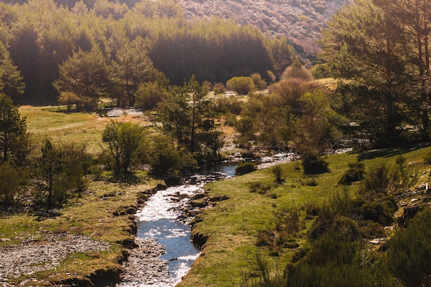 Paisaje montuoso con pequeño río