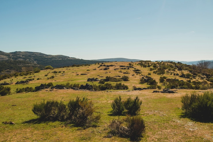 Foto gratuito paisaje montuoso