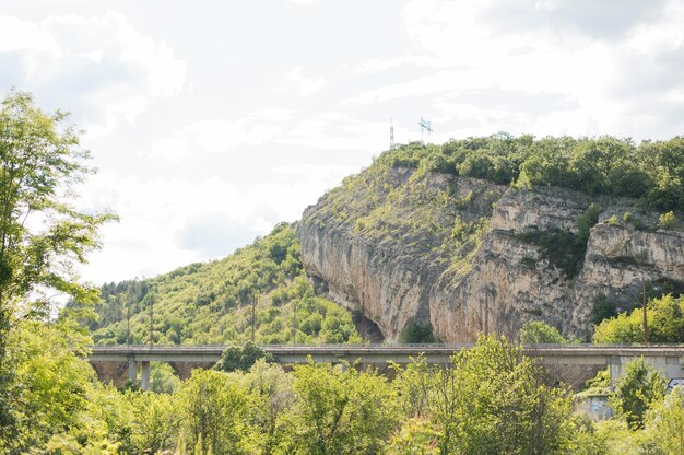 Paisaje natural con ferrocarril y montaña