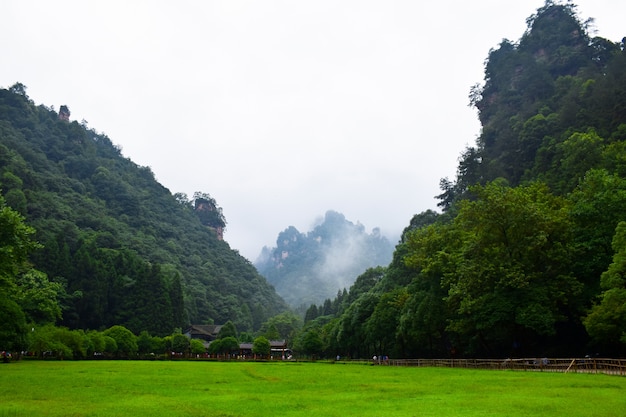 Paisaje natural con montañas verdes