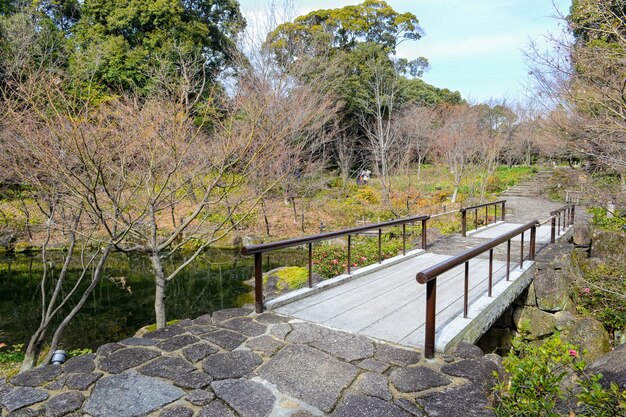 Paisaje natural con un puente de madera