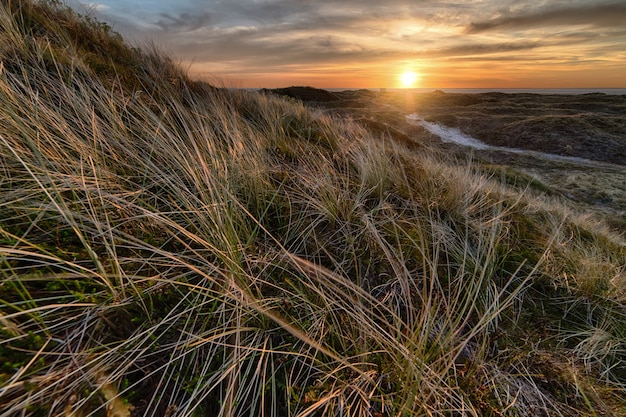 Foto gratuita paisaje natural durante la puesta de sol