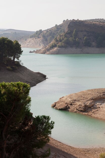 Paisaje natural con rio y arboles.