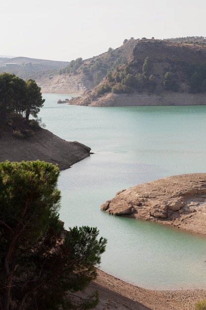 Paisaje natural con rio y arboles.