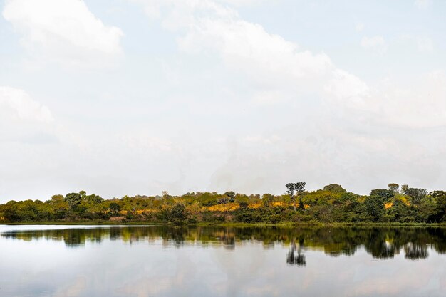 Paisaje de naturaleza africana con lago