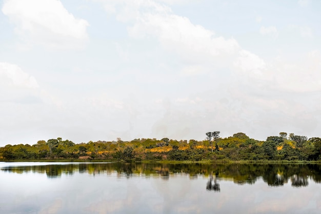 Paisaje de naturaleza africana con lago