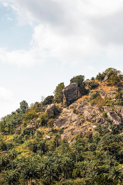 Paisaje de naturaleza africana con montaña