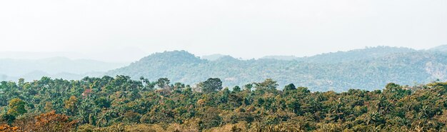 Paisaje de la naturaleza africana con vegetación y cielo despejado.