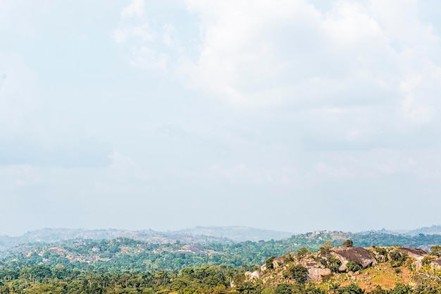 Paisaje de la naturaleza africana con vegetación y cielo.