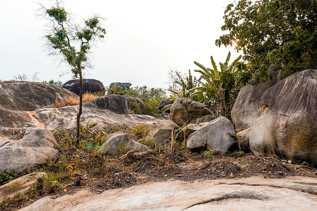 Paisaje de la naturaleza africana con vegetación y rocas.