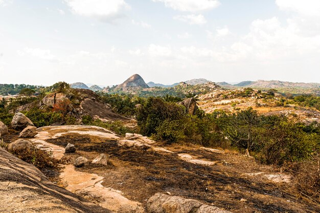 Paisaje de naturaleza africana con vegetación y terreno.