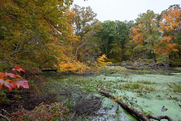 Paisaje de la naturaleza en un día de otoño.