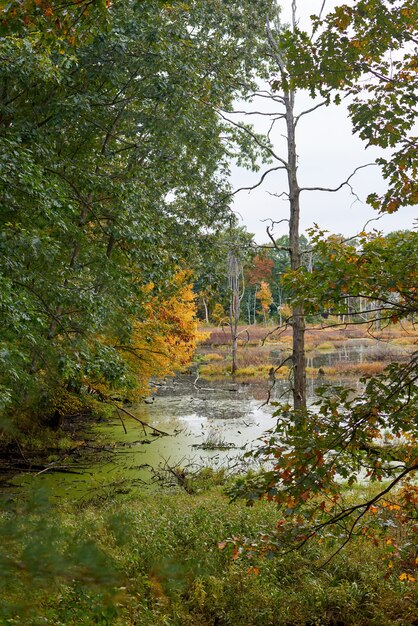 Paisaje de la naturaleza en un día de otoño.