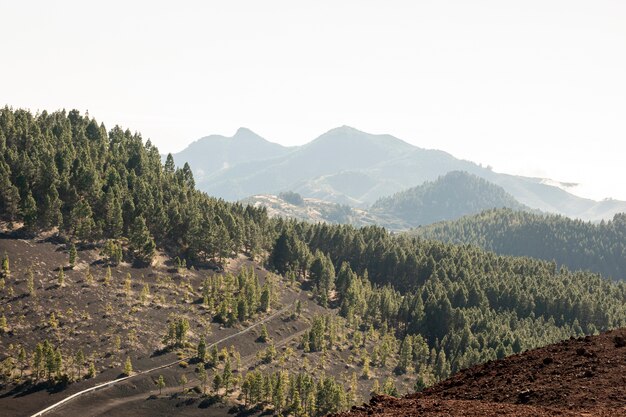 Paisaje de la naturaleza en las montañas