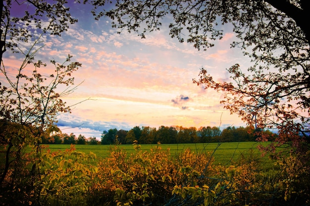 Paisaje de la naturaleza en verano.