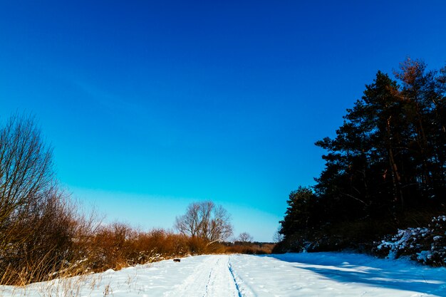 Paisaje nevado de invierno contra el cielo azul claro