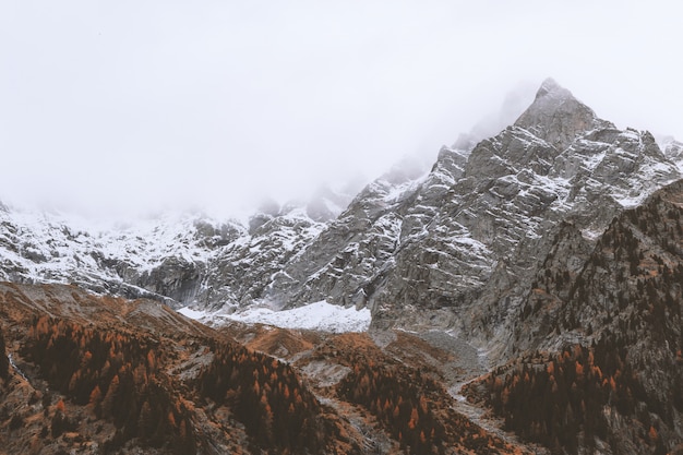 Foto gratuita paisaje nevado de montaña