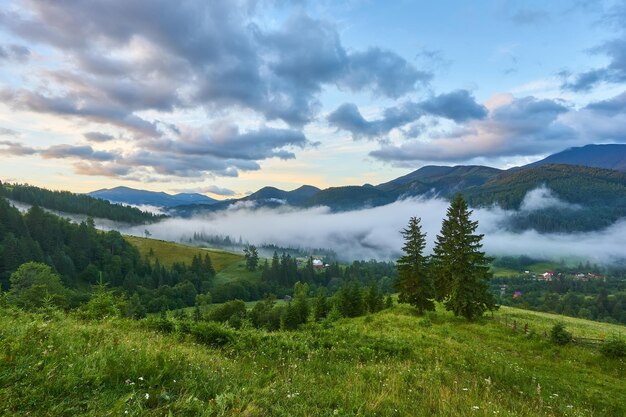 Paisaje con niebla en las montañas