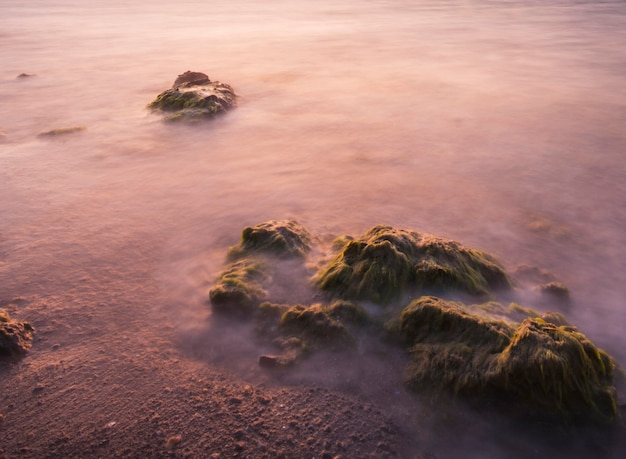 Paisaje con niebla y rocas