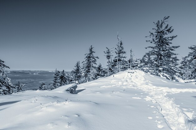 Paisaje de la nieve