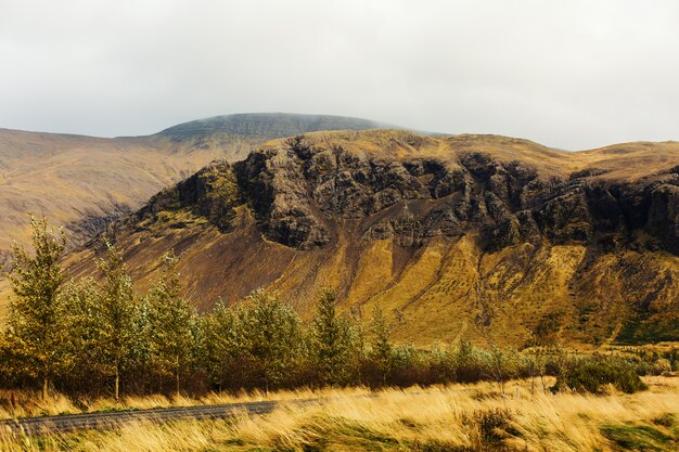 Paisaje del norte