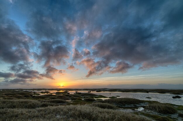Paisaje de la orilla cubierta de hierba rodeada por el mar durante una hermosa puesta de sol