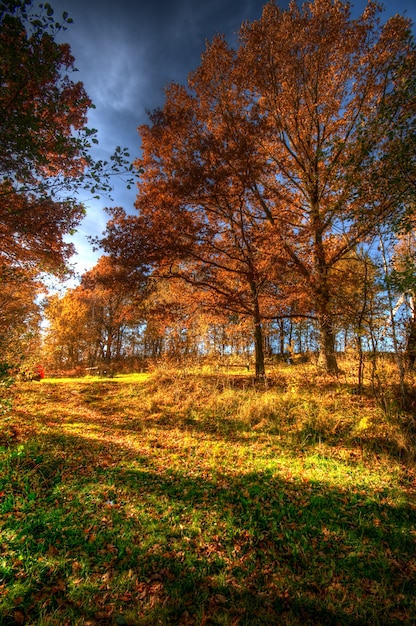 Paisaje otoñal en un día soleado