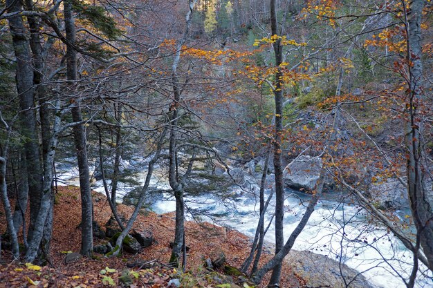 Paisaje de otoño en el Parque Nacional de Ordesa, Pirineos, Huesca, Aragón, España