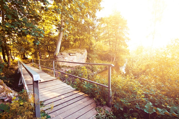 Paisaje de otoño.