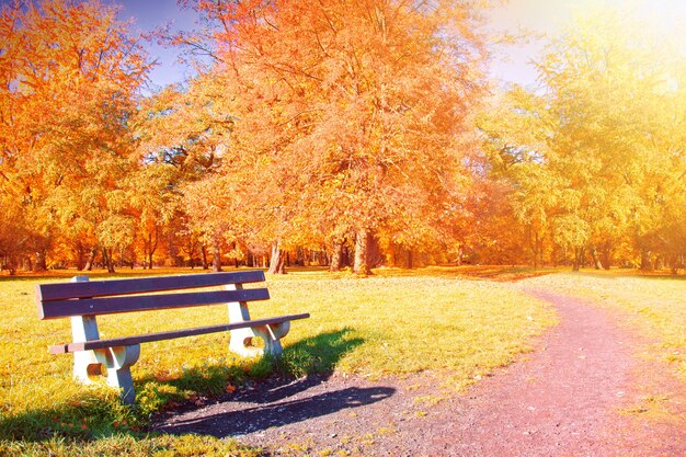 Paisaje de otoño.